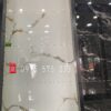 Gạch Bóng Kiếng 60×120 Nhập Khẩu Tại Quận 10
