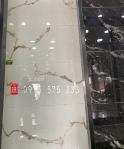 Gạch Bóng Kiếng 60×120 Nhập Khẩu Tại Quận 10