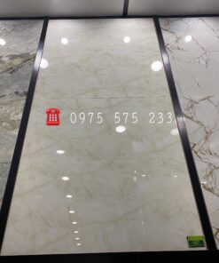 Gạch Bóng Kiếng 60×120 Nhập Khẩu Tại Bình Thạnh