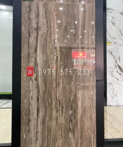 Gạch Bóng Kiếng 60×120 Nhập Khẩu Tại Long An