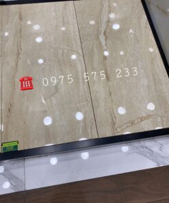 Gạch Bóng Kiếng 60×120 Nhập Khẩu Tại Bình Dương