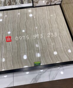 Gạch Bóng Kiếng 60×120 Nhập Khẩu Tại Cần Thơ