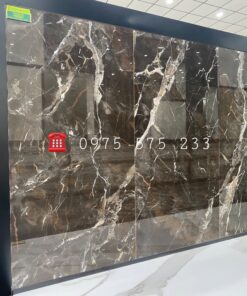 Gạch Bóng Kiếng 60×120 Nhập Khẩu Tại Sóc Trăng