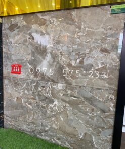 Gạch Bóng Kiếng 60×120 Nhập Khẩu Tại Rạch Giá