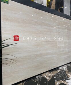 Gạch Bóng Kiếng 60×120 Nhập Khẩu Tại An Giang