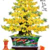 Giá tranh gạch 3d cây mai vàng gạch trang trí 53