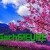 Tranh gạch phong cảnh cây hoa đào dán tường 5d ép kính kim tuyến bền đẹp 42