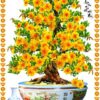 Tranh gạch cây mai vàng tài lộc gạch tranh 3d 57