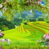 Gạch tranh phong cảnh quê hương trên vùng cao cảnh đẹp 178