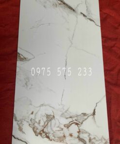 Đá lát nền 60×120 đồng chất khắc kim trung quốc cao cấp 05