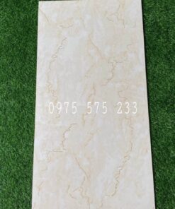 Nơi bán gạch bóng kiếng 60×120 nhũ vàng khắc kim tại tphcm 29