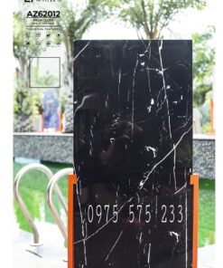 Gạch india ấn độ 60×120 đen vân siêu bóng 12