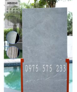 Gạch màu xám bóng 60×120 ấn độ tại bình dương 13