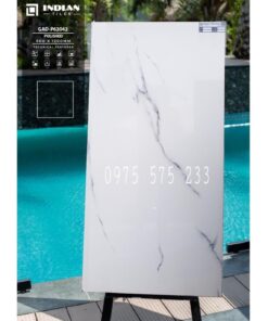 Gạch 60×120 ốp lát nhà vườn biệt thự đẹp cao cấp