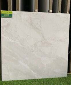 Gạch 60×60 bóng kiếng ấn độ tại kiên giang