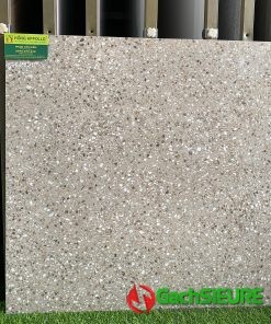 Gạch 60×60 đá mài terrazzo hoa cương