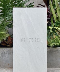 Gạch cao cấp 60×120 bóng kính ấn độ bán lẻ