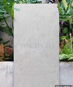 Tiêu chuẩn gạch 60×120 ấn độ bền màu