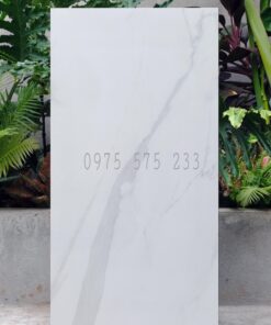 Gạch bóng kính 60×120 ấn độ giá sỉ