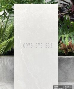 Gạch cao cấp 600×1200 mờ trắng xám sang trọng