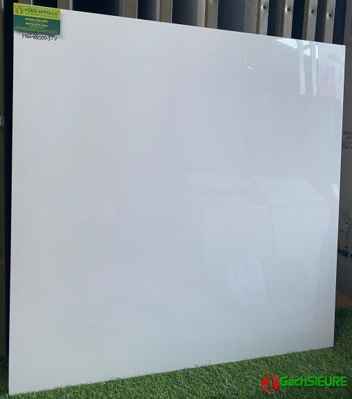 Gạch lát nền TTC 80×80 trắng sứ- trắng không vân