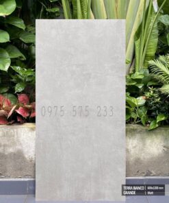 Gạch nhập ấn độ 60×120 mờ xám khổ lớn