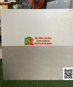 Gạch ốp lát thạch bàn 30×60 xám nhạt granite đá mờ