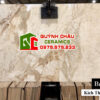 Gạch ấn độ 120×240 màu đá marble ngẫu nhiên vân nhạt
