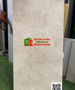 Gạch nhập khẩu trung quốc 60×120 màu xi măng bê tông