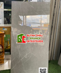 Gạch ấn độ 60×120 Pisa Grey Glossy màu xám vân bóng