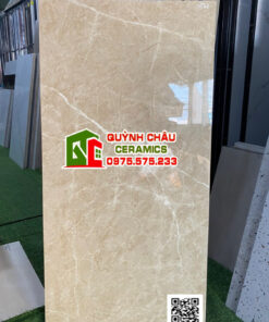 Gạch ấn độ đá bóng 60×120 Regent Brown Glossy