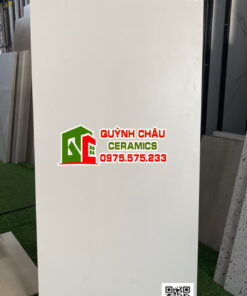 Gạch ốp lát ấn độ 60×120 trắng tinh mờ trơn không vân