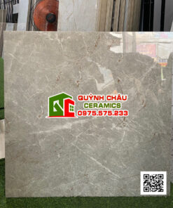 Gạch 80×80 ấn độ Esprada Grey màu xám vân