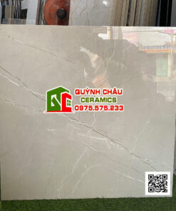 Gạch ấn độ 80×80 AArmani Bianco màu xám bóng