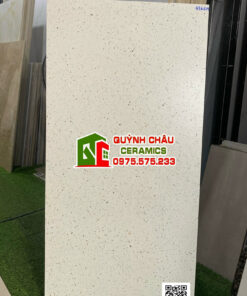 Gạch ấn độ 60×120 terrazzo ivory hạt đá chấm nhỏ