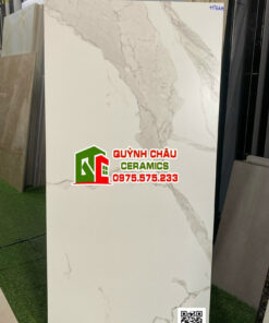 Gạch ấn độ 60×120 trắng vân đá Classic statuario matt