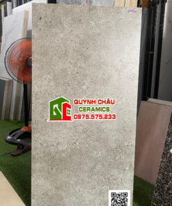 Gạch ốp lát 60×120 terrazzo carving vân đá