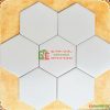 Gạch bông lục giác 200×230 màu xám nhạt mờ men trơn