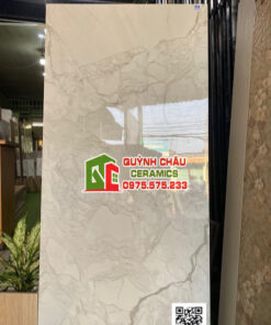 Gạch 60×120 bóng kiếng màu ghi xám vân đá giá tốt