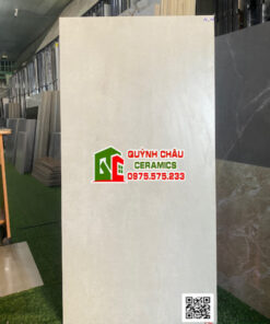 Gạch ốp tường ấn độ 60×120 mờ mịn gam màu xám xi măng nhạt