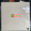 Gạch full body 120×120 ấn độ cao cấp