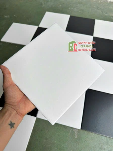 Mẫu gạch bông màu trắng mờ đơn sắc