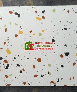 Gạch bông lát nền 30×30 terrazzo đa sắc màu đẹp