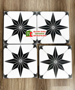 Gạch bông men 30×30 hoa văn cánh sao đen trắng