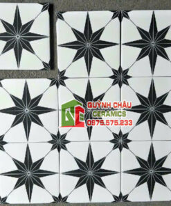 Gạch bông 20×20 hoạ tiết ngôi sao trắng đen