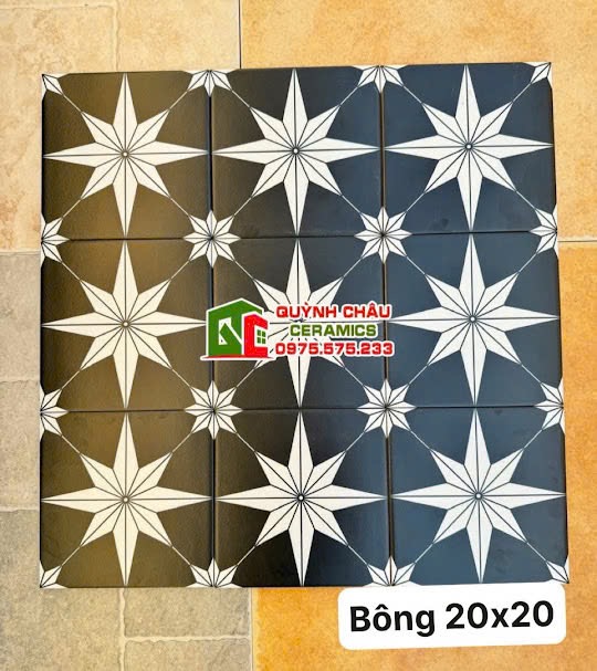 Gạch bông trung quốc 20x20 đen cánh sao