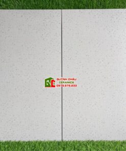 Gạch lát nền kis terrazzo 60×120 đá mờ màu sáng