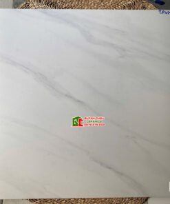 Gạch lát nền Việt Ý 80×80 đá Marble trắng mờ vân xám